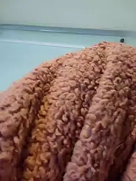 911Calling online show from December 14, 2024, 4:01 am