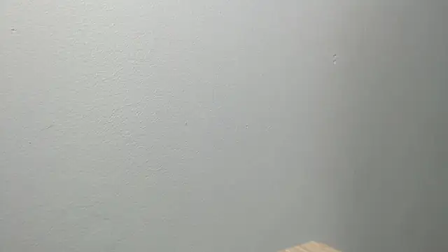 Snapshot of sussy_leon chatting on February 21, 2025, 11:55 am sussy leon online show from February 21, 2025, 11:55 am