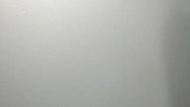 Snapshot of sussy_leon chatting on March 4, 2025, 12:22 pm sussy leon online show from March 4, 2025, 12:22 pm