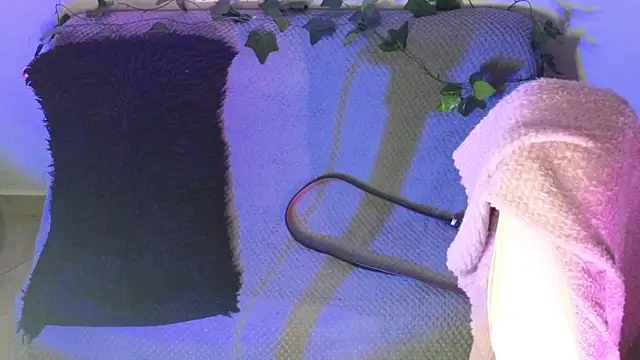 Snapshot of Alahia7demon chatting on February 9, 2026, 2:04 am Alahia7demon online show from February 9, 2026, 2:04 am