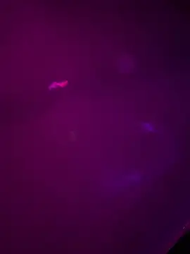 Snapshot of Alahia7demon chatting on March 22, 2026, 10:18 am Alahia7demon online show from March 22, 2026, 10:18 am