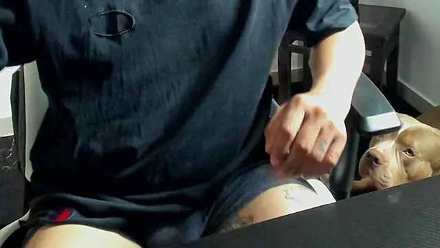 Snapshot of stebankechima chatting on October 15, 2025, 12:38 pm stebankechima online show from October 15, 2025, 12:38 pm