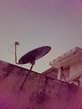 Duskygirl8 online show from April 26, 2026, 7:33 pm