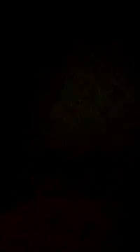 lobomisterioso13 online show from February 3, 2025, 2:14 am