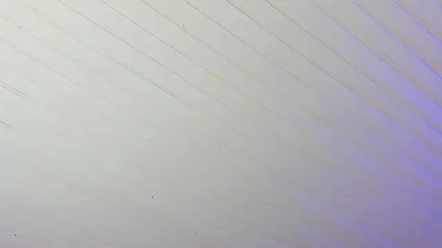 Ammy nova online show from December 17, 2025, 7:53 pm