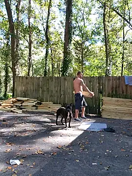 Buffshagswell online show from October 21, 2025, 4:08 pm