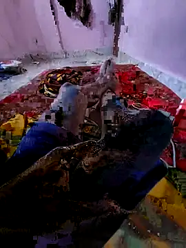 Snapshot of Ssdhaka11 chatting on November 6, 2025, 2:51 pm Ssdhaka11 online show from November 6, 2025, 2:51 pm