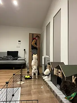 Snapshot of kensnb chatting on January 8, 2025, 8:39 pm kensnb online show from January 8, 2025, 8:39 pm