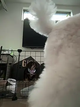 Snapshot of kensnb chatting on March 8, 2025, 10:02 pm kensnb online show from March 8, 2025, 10:02 pm