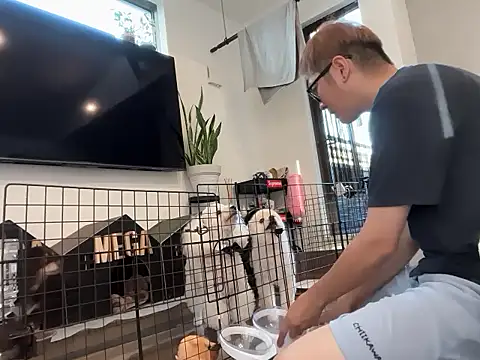 Snapshot of kensnb chatting on September 27, 2025, 10:04 pm kensnb online show from September 27, 2025, 10:04 pm