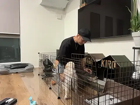 Snapshot of kensnb chatting on October 8, 2025, 9:29 am kensnb online show from October 8, 2025, 9:29 am