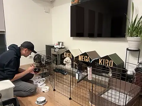 Snapshot of kensnb chatting on October 21, 2025, 9:32 am kensnb online show from October 21, 2025, 9:32 am