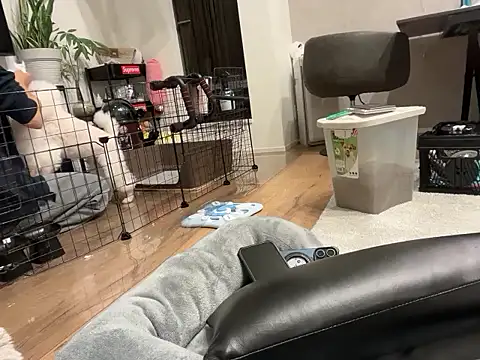 Snapshot of kensnb chatting on November 1, 2025, 9:11 am kensnb online show from November 1, 2025, 9:11 am