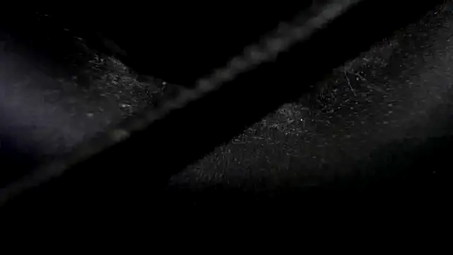 Snapshot of Niquitasparkles chatting on January 23, 2025, 10:33 pm Niquitasparkles online show from January 23, 2025, 10:33 pm