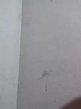 Snapshot of Negrocomedo chatting on March 6, 2026, 1:51 pm Negrocomedo online show from March 6, 2026, 1:51 pm