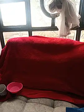 Snapshot of Tefannyy_ chatting on June 17, 2026, 2:07 pm Tefannyy online show from June 17, 2026, 2:07 pm