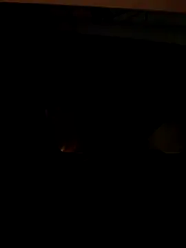 Snapshot of coppiapazza chatting on December 18, 2025, 11:22 pm coppiapazza online show from December 18, 2025, 11:22 pm