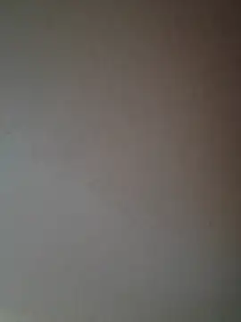mao-duraznitt online show from June 15, 2026, 2:14 am