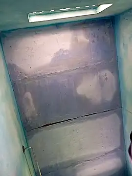 Andrapradesh online show from October 13, 2025, 8:58 am