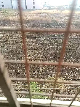 Snapshot of 1010SumiT chatting on January 27, 2025, 3:58 am 1010SumiT online show from January 27, 2025, 3:58 am