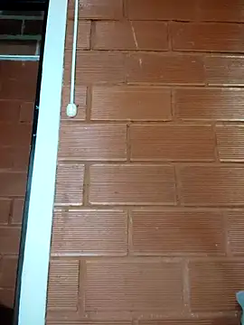 Snapshot of Priyalakshmi_ chatting on February 27, 2025, 1:28 pm Priyalakshmi online show from February 27, 2025, 1:28 pm