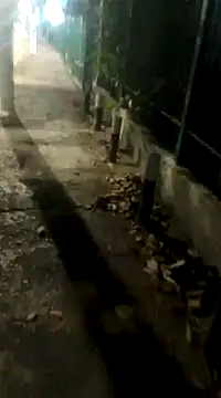 Snapshot of spacegirlll chatting on March 14, 2025, 8:10 am spacegirlll online show from March 14, 2025, 8:10 am