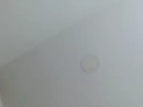 milfevha online show from February 26, 2026, 2:38 pm