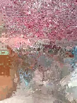 Snapshot of wajdi-wa7ch chatting on July 29, 2026, 7:17 am wajdi-wa7ch online show from July 29, 2026, 7:17 am