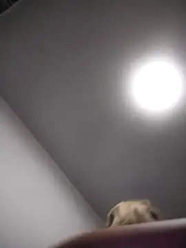 Snapshot of AudreySosa chatting on March 13, 2025, 8:04 am AudreySosa online show from March 13, 2025, 8:04 am