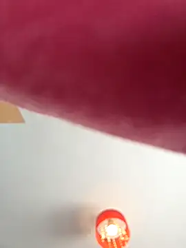 Chneor28 online show from January 12, 2026, 11:26 am