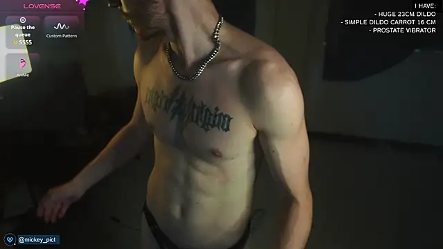 Snapshot of mickeypict chatting on December 12, 2024, 2:26 am mickeypict online show from December 12, 2024, 2:26 am