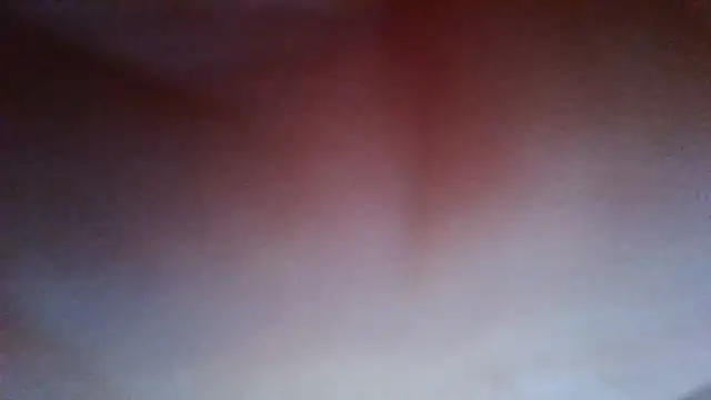 Snapshot of Evasapples chatting on July 20, 2026, 7:38 pm Evasapples online show from July 20, 2026, 7:38 pm