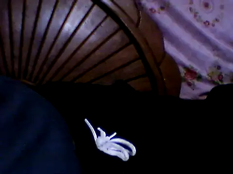 Snapshot of penesillo79 chatting on November 21, 2025, 3:05 am penesillo79 online show from November 21, 2025, 3:05 am