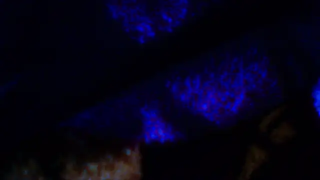 Snapshot of penesillo79 chatting on December 18, 2025, 4:29 am penesillo79 online show from December 18, 2025, 4:29 am