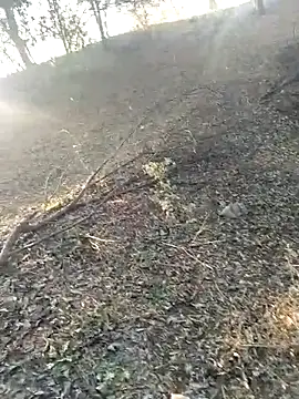 Snapshot of jellydicks chatting on February 21, 2026, 2:01 am jellydicks online show from February 21, 2026, 2:01 am