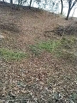 Snapshot of jellydicks chatting on February 28, 2026, 11:55 am jellydicks online show from February 28, 2026, 11:55 am