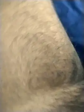 Snapshot of jellydicks chatting on March 4, 2026, 2:23 pm jellydicks online show from March 4, 2026, 2:23 pm