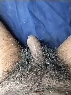 jellydicks online show from June 18, 2026, 10:41 am