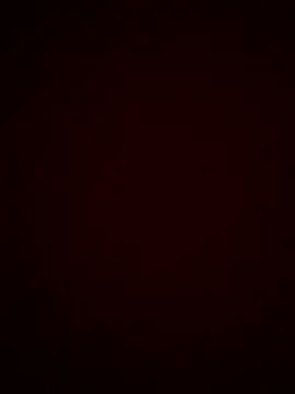 Sweety 008 online show from September 13, 2025, 8:14 am