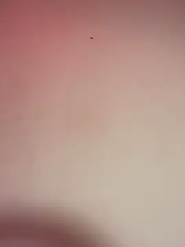 Snapshot of _Chartlotte chatting on December 11, 2024, 11:32 pm Chartlotte online show from December 11, 2024, 11:32 pm