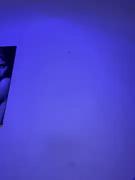 Snapshot of _Chartlotte chatting on February 4, 2025, 12:19 am Chartlotte online show from February 4, 2025, 12:19 am