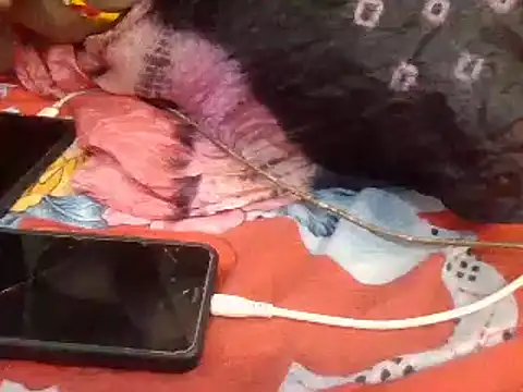 Snapshot of naina-80 chatting on January 13, 2025, 7:43 am naina-80 online show from January 13, 2025, 7:43 am