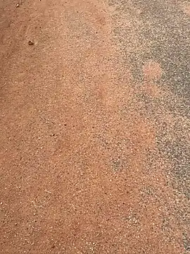 Snapshot of Black_mamba_madingo chatting on March 20, 2025, 7:47 am Black mamba madingo online show from March 20, 2025, 7:47 am