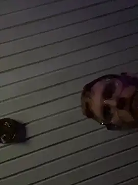 Snapshot of luv2cum7491 chatting on December 20, 2024, 7:33 am luv2cum7491 online show from December 20, 2024, 7:33 am