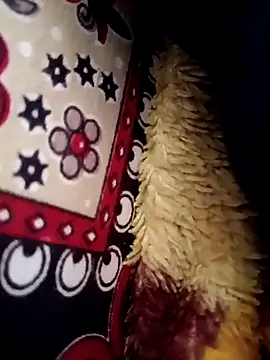 Gujrat player online show from March 13, 2025, 8:04 am