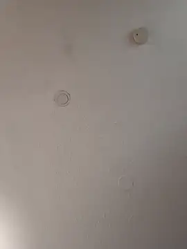 geilerschwanz64 online show from January 18, 2025, 11:21 am