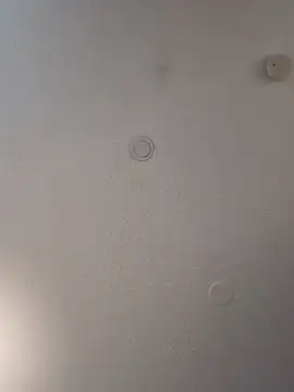 geilerschwanz64 online show from February 19, 2025, 7:05 pm