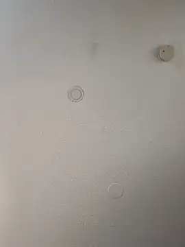 geilerschwanz64 online show from February 21, 2025, 8:40 am