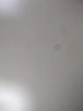 geilerschwanz64 online show from October 15, 2025, 9:59 pm