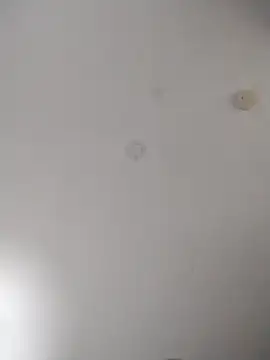 geilerschwanz64 online show from October 27, 2025, 2:15 am